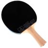 DOUBLE FISH 9-Star Professional Shakehand Table Tennis Racket