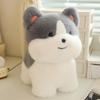 Peluche Cane Husky Cucciolo Carino - Adorabile Regalo Transfrontaliero per Ragazze