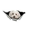 LYKX Lovely Maltese Pet Dog Car Sticker Decoration Waterproof Window Boot Decal Motorcycle Cover Scratch PVC Decals