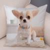 Cute Pet Animal Pillowcase Decorative Cute Puppy Chihuahua Pillowcase Soft Plush Cushion Cover for Car Sofa Home 45x45cm