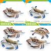 Large Pvc Marine Animal Model Crab Aquarium Ornament For Marine Life Decor
