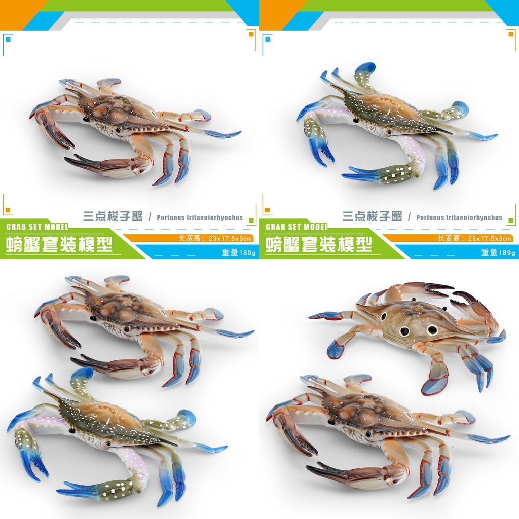 Large Pvc Marine Animal Model Crab Aquarium Ornament For Marine Life Decor