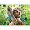 [Castorland] 500 Piece Jigsaw Puzzle - Relaxing Sloth (LD53223)