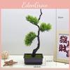 Artificial Pine Tree Faux Greenery Landscape Decor For Living Room And Office