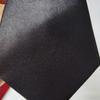 Necktie Breathable Elastic Solid Color Boy Stain Necktie for Wedding