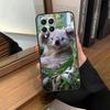 Koala Case For Samsung Galaxy M13 M53 M51 M31 M11 M14 M34 M54 M12 M32 M52 M16 M36 M56 M15 M35 M55