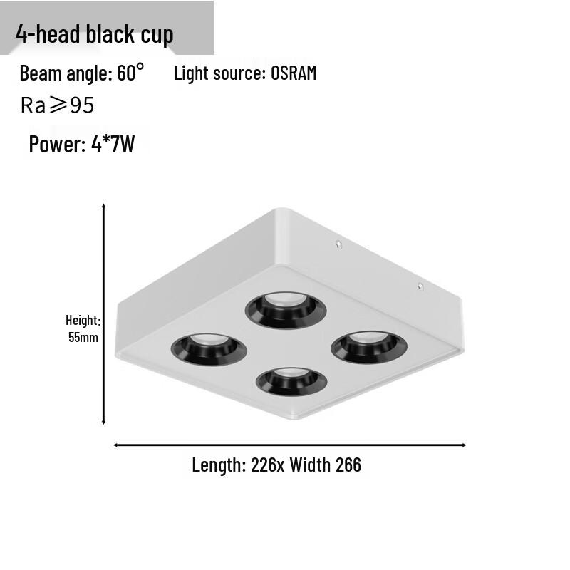 Oenyl 4-Head LED Surface Mount Ceiling Spotlight