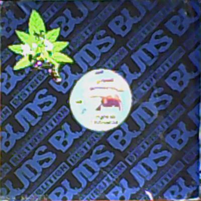 12inch Record UNKNOWN ARTIST - Disc Jockeys Delight BDS879 Buds Distributi US Rap  Hip-HopRB Used