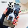 Berner Sennenhund weiche Handyhülle Abdeckung Für iPhone 17 Air 16 15 14 plus 12 13 pro max Hülle Shell Fundas