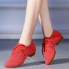 Women's Latin Dance Shoes Low Heels Mesh Ballroom Dancing Shoes Teacher Tango Salsa Rumba Modern Jazz Shoes for Women