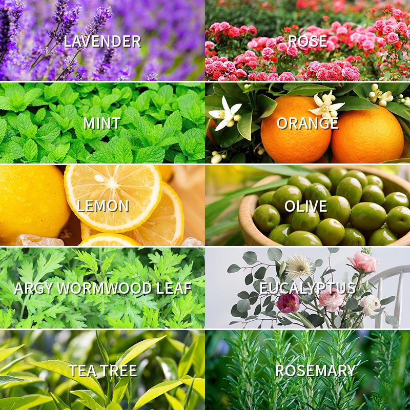 Aromatherapy Essential Oil 10ml Lemon Eucalyptus Lavender Eucalyptus Jasmine Rose Mint Orange Aroma Essential Oil