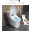 Intelligent Remote Control Toilet Lid with Dryer: Adjustable Water & Wind Temperature, Universal Fit for Bathroom, Smart Constant Temperature