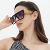 New Fashion Sunglasses Thick Legs Hollow Decorative Women Trendy Sunglasses MN5541 Stylish Accessory