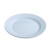 Assiettes Rondes Légères pour Dîner Réutilisables Incassables Assiettes à Steak Pizza Fruits Micro-ondes Lave-vaisselle Sûr pour Fête à la Maison Pique-nique