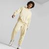 Puma Classic Sweatpants granola [535597 88] size