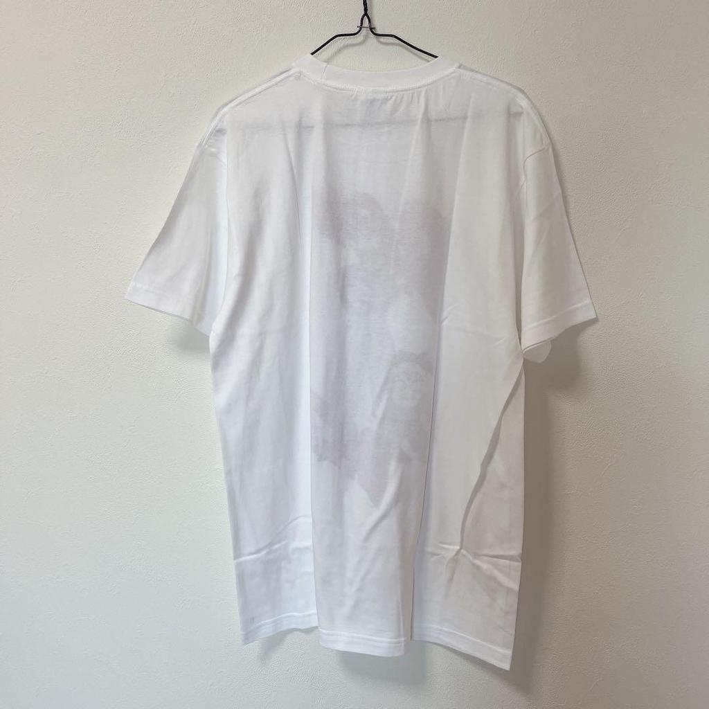 [USED] DRAGON BALL Z T-shirt [L] Piccolo Gohan Anime Tee