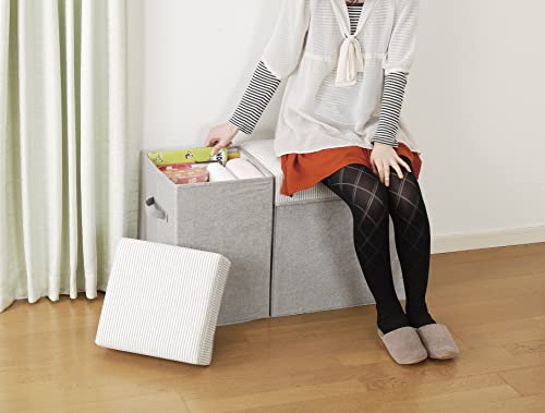 Pearl Metal SPACE-KIT Storage Box, Folding Stool/Ottoman, Medium Size, High Type, Gray, N-7822