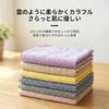 Econest Face Towels, Set of 8. Low lint, absorbent, antibacterial, odor-resistant, thick, durable,