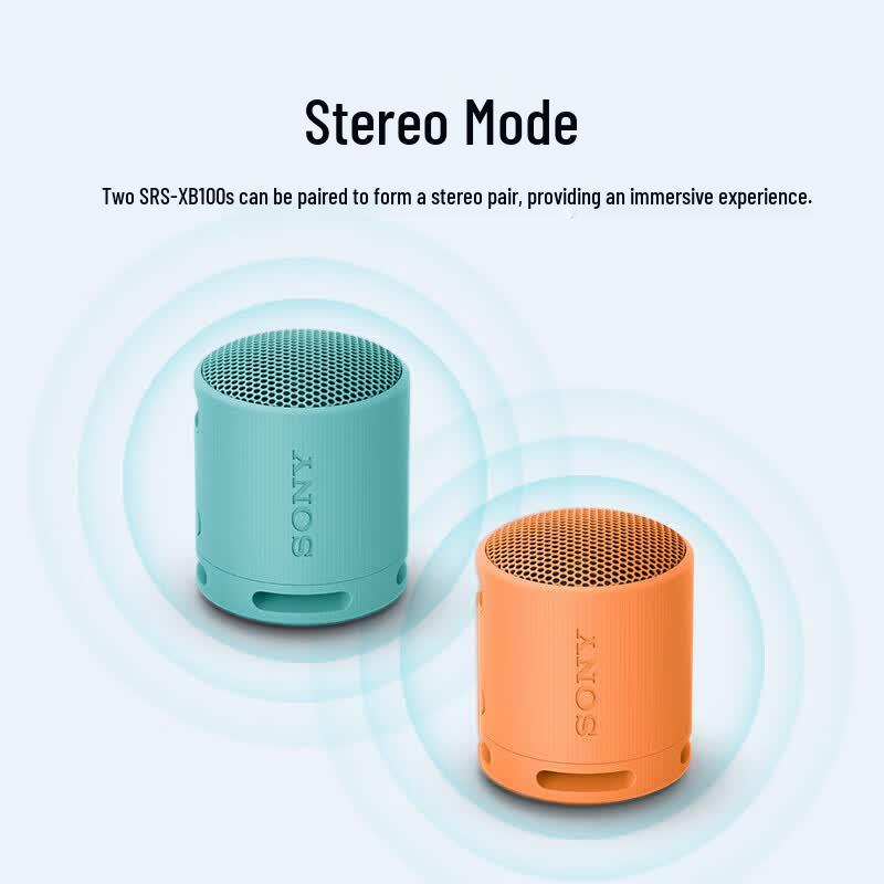 Sony SRS-XB100 Portable Bluetooth Speaker (CN Version)