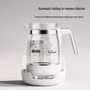 Little Bear Baby Constant Temperature Water Kettle