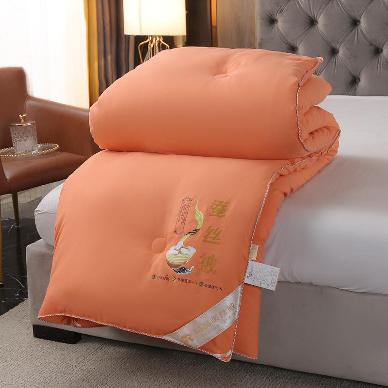 Verdickte Seiden-Winterdecke - Doppelbett Daunen, Warm für Frühling & Herbst