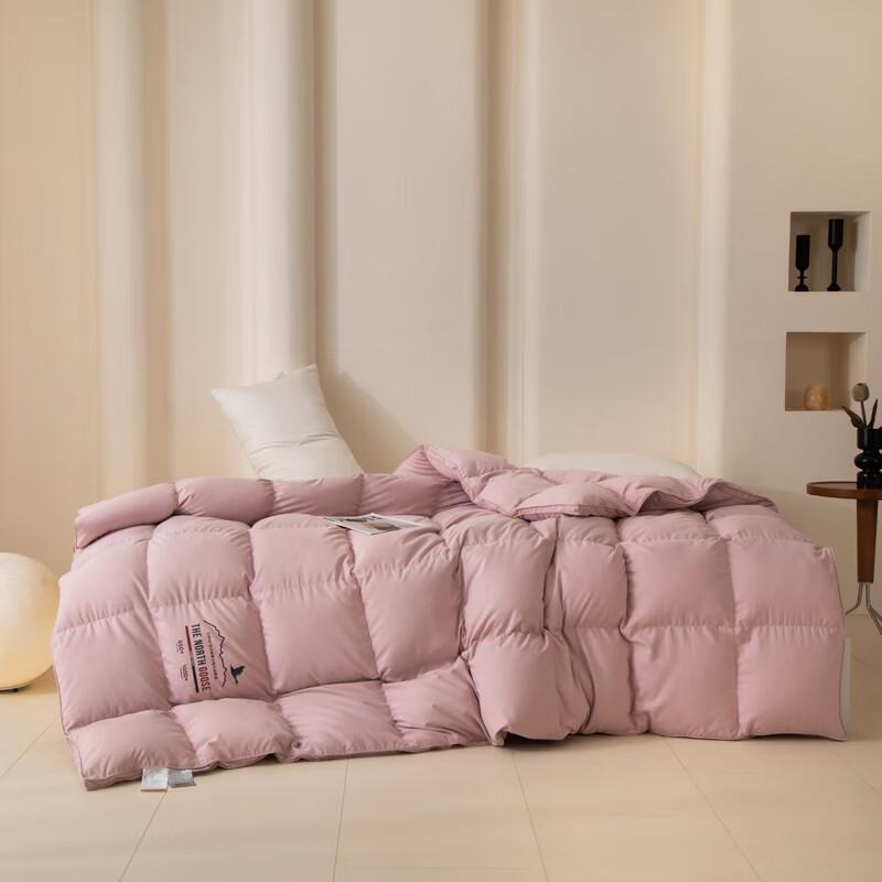 

Muji Arctic Goose Down Quilt