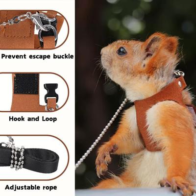 Produtos para animais – Roedores