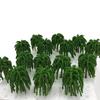Green Cherry Palm Pine Forest N Architectural Tree 12 Pieces [DauStage] Blossom, Bamboo, Trees, Willow, Model, Gauge, Diorama, Railway, Miniature, 20.