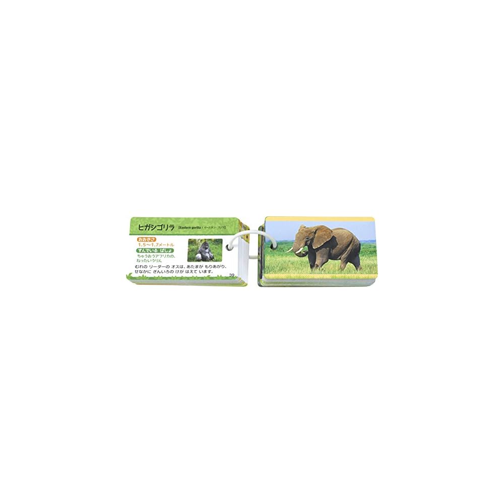 Epoch Pocket Picture Cards Animal Friends 08-305 with Ring and Clear Cover for Ages 3 and Up Toy