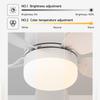 E27 Ceiling Fan Household Fan Light Detachable Multifunctional Remote Control Ceiling Fan Light for Living Room and Bedroom Lamp
