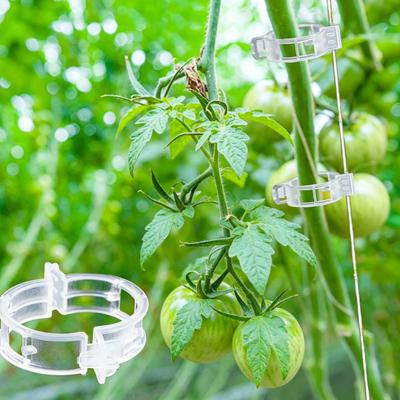 50 Stück Kunststoff Pflanzenstützklammern Wiederverwendbar Garten Kletterpflanzen Befestigung Gemüse Stiele Tomate Weinrebe Fixierung Rankgitterklammern