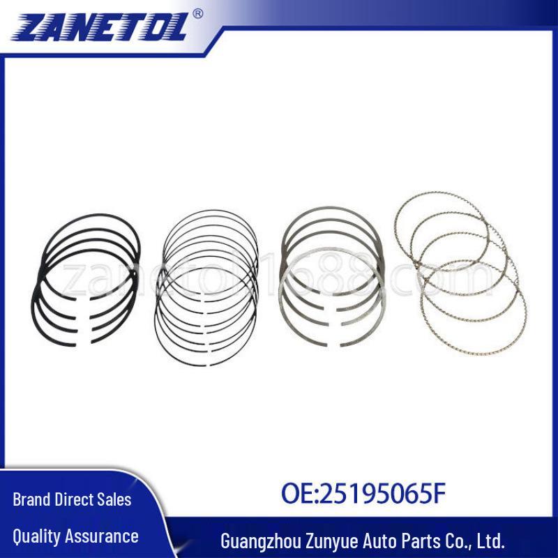 

Fits Cruze (KLZ) 1.4L Piston Ring +0.5 25195065F