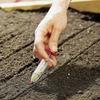 Adjustable Handheld Syringe Seeding Dispenser, Portable Flower & Grass Sowing Tool for Backyard Garden Planting