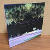Used MARK McGUIRE 『NOCTILUCENCE』
