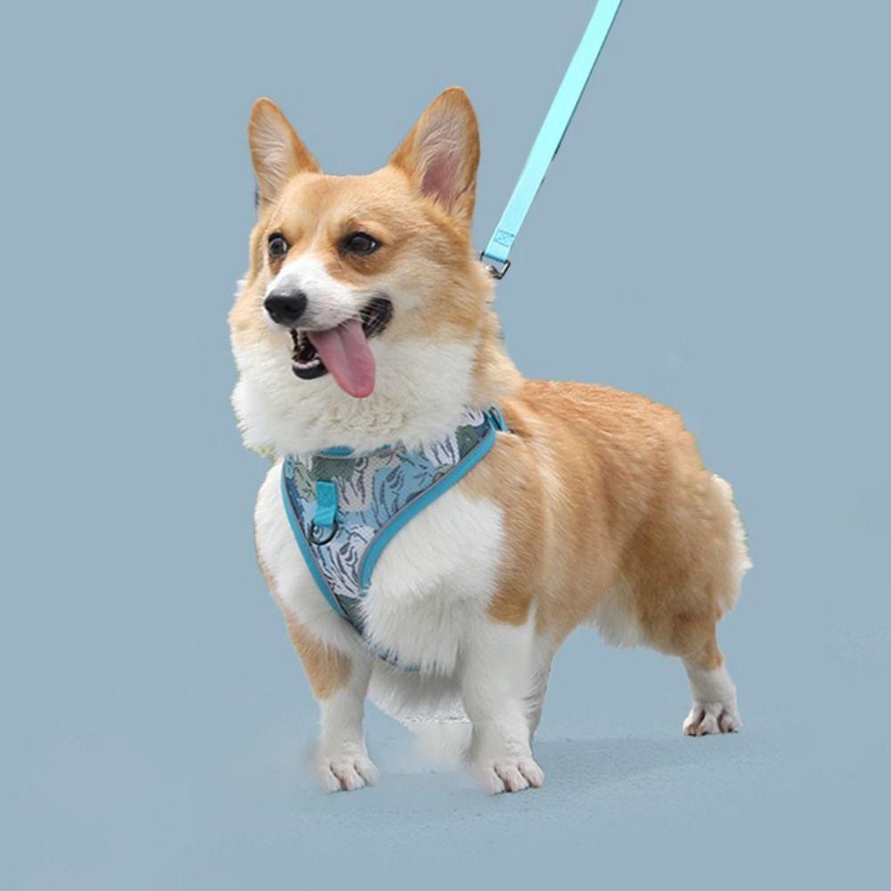

Anti-lost Pet Harnesses Vest Dog Walking Rope Dog Chest Strap Rope Dog Harness and Leash Set S-blue tiger skin
