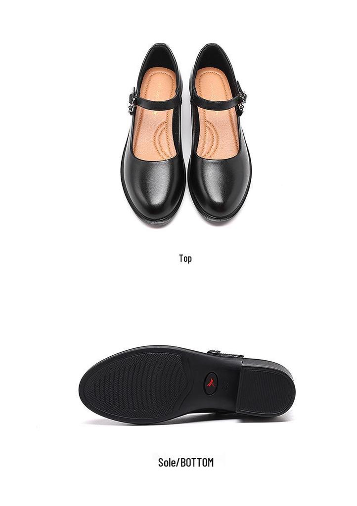 Red Dragonfly Women's Genuine Leather Mary Jane Loafers - Chunky Heel, Shallow Cut, Perfect for Spring and Autumn.