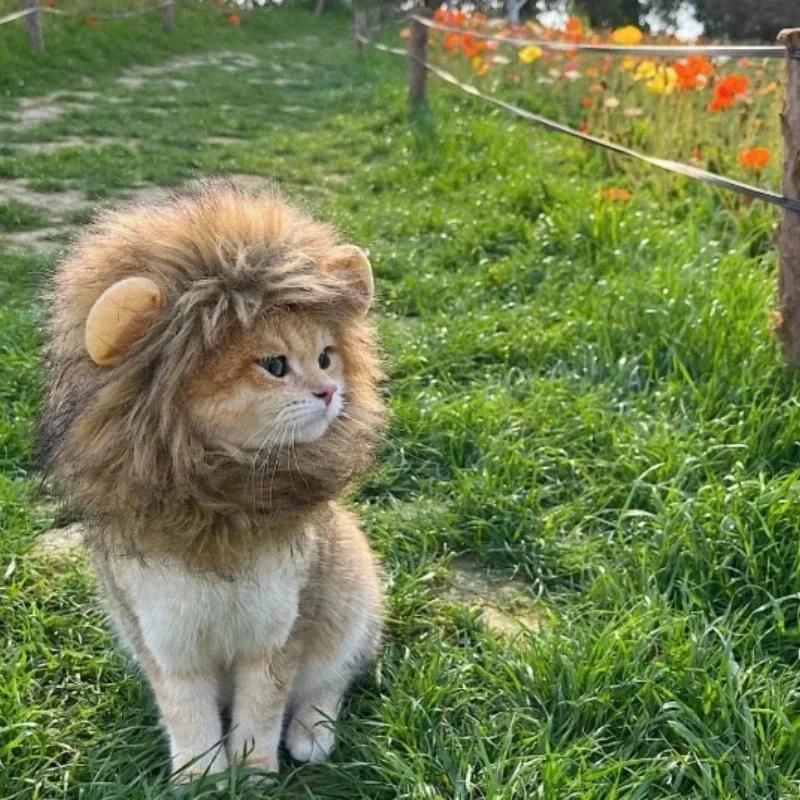 New Cute Funny Pets Clothes Cap Cute Cat Wig Lion Mane Costume Cosplay Kitten Dog Hat with Ears Fancy Party Supplies