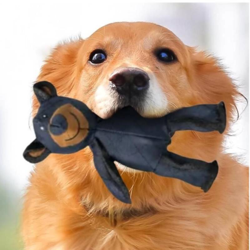 Bear Pet Cute Toy With Sound Design  For Dogs To Grind Their Teeth And Play