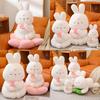 New Bunny Plush Toy Doll Soft And Fluffy Lotus Seat Cushion Sitting Rabbit Ideal Gift For Kids Bunny Plush)