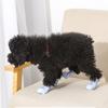 1Set Comfortable Waterproof Durable Outdoor Soft Holidays Pet Rain Boots Rubber Anti Slip Taking Photos Breathable Multiple Sizes