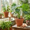 Natural Clay Self-Watering Terracotta Stakes Screws-Shaped Automatic Irrigation Terracotta Watering Device Time-Saving