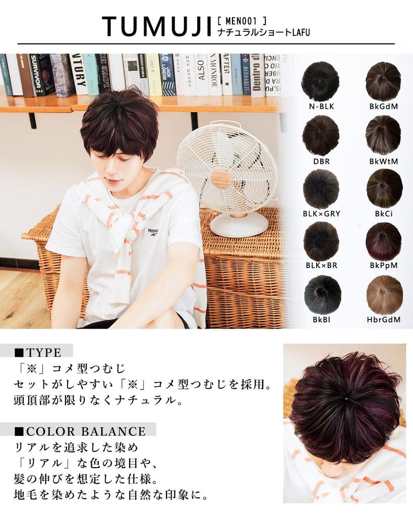 short Korean idol for men and with wig heat natural natural [TefuRe] Men's wig, short, natural, men's wig, wig, hair, boys, Korean, style, mesh,