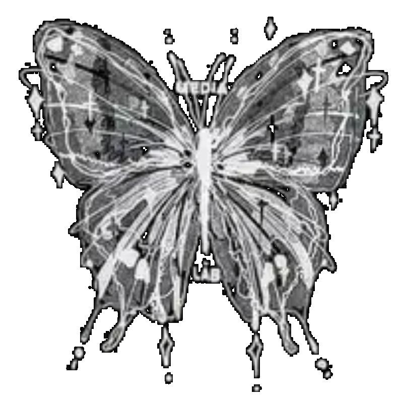 Oversized T Shirt Black Butterfly Print With Text Graphic Design Casual Wear For Women Summer Fashion Streetwear Style