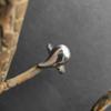 Silver Ring Without Stones, Product Weight 3.01 Gr (2197171)
