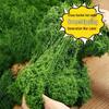 Artificial Turf and Moss Ornament for Landscaping and Potted Plants