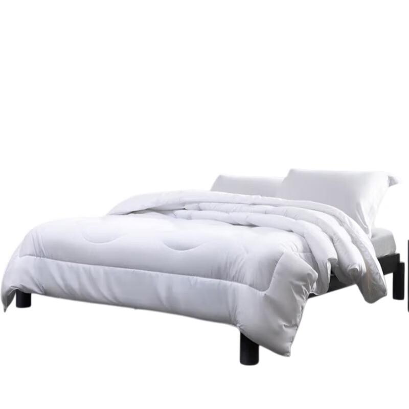 Mercury Home Textiles Yilan Negative Ion Antibacterial Fiber Quilt