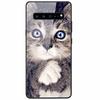 Tempered Glass Case For Samsung S10 / S 10 Plus / S10e Cover Luxury Hard Back Covers for Samsung Galaxy S10Plus S 10e Coque Cool
