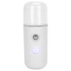 Nano-Gesichtsnebelsprüher, tragbares Mini-Feuchtigkeitsspray für das Gesicht zur Hautpflege (30ml)
