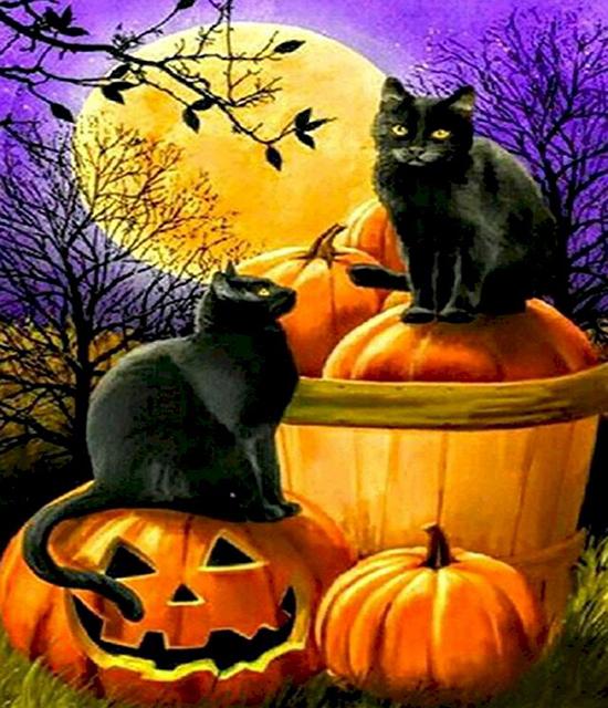 RUOPOTY Painting By Number Cat Animals DIY Frame Acrylic Handpainted Drawing On Canvas Autumn Pumpkin Gift Home Decoration