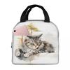 Cat Sleeps On A Tree Branch Insulated Lunch Bag for Women Office Cooler Thermal Food Box Tote Portable Lunch Boxes Container